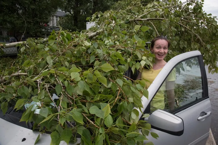 Упавшие деревья после урагана. Тюмень, упавшее дерево, дерево упало на машину