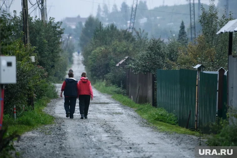 ЧП произошло в коллективном саду (архивное фото)