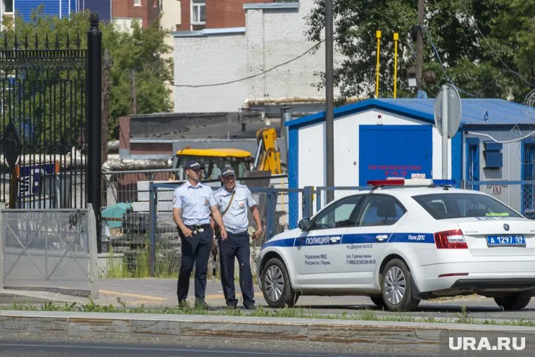 Сирена патрульной машины помогла ямальцам выйти из леса