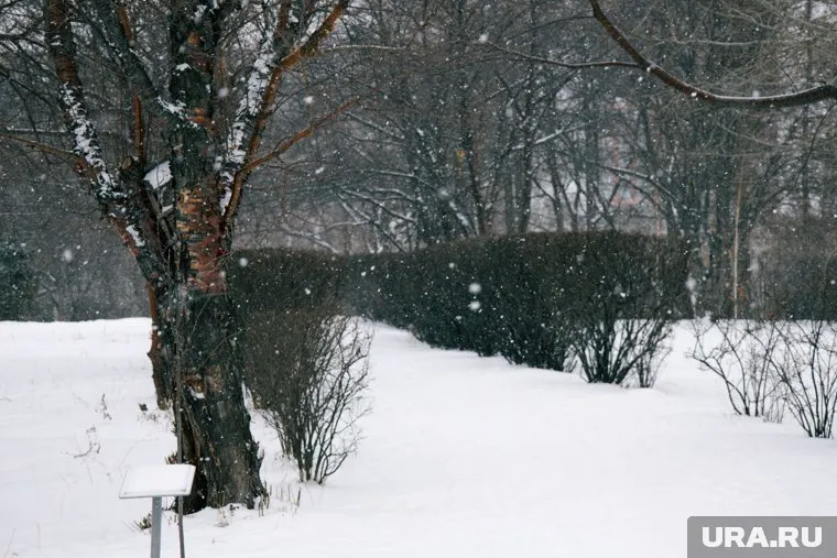 Снег в Москве полностью растает к концу недели