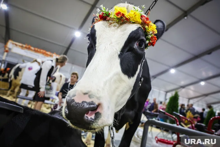 Запрет наложили из-за несоответствия качества препарата