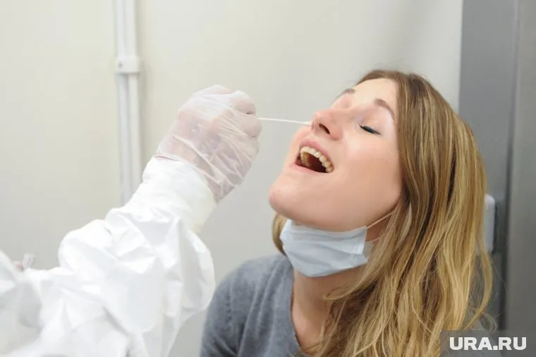 Учителей обяжут сдать ПЦР-тесты на COVID-19