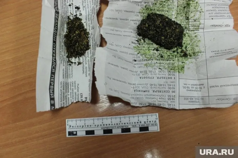 Редакция предлагает заворачивать в газету рыбу