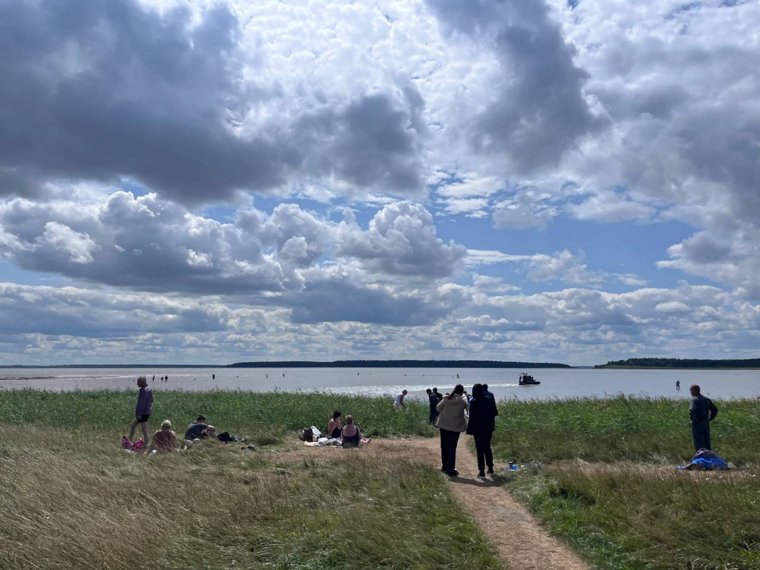 Добраться до лечебного озера Медвежье в Курганской области без авто: опыт журналиста URA.RU