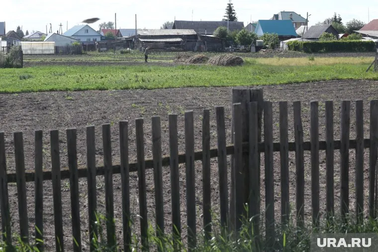 Новые правила обязывают собственников садовых участков наводить на них порядок