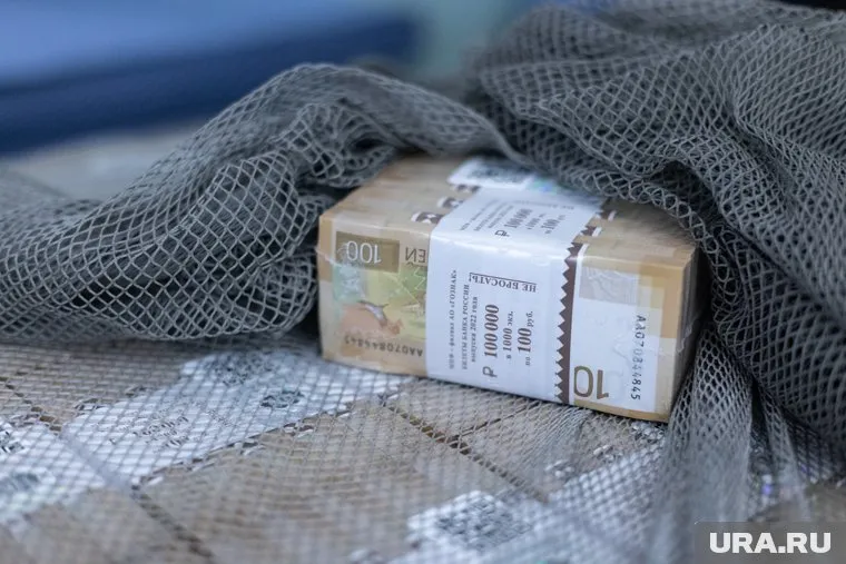 Минфин не поддержал инициативу Анатолия Вассермана о декларировании наличных от миллиона рублей