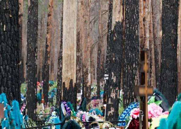 Фотография из галереи