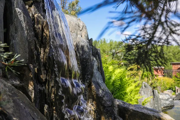 Сад у Косого дома на улице Горького. Екатеринбург