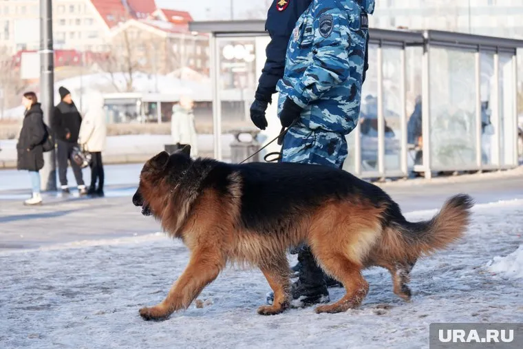 На месте проводятся все необходимые для безопасности мероприятия