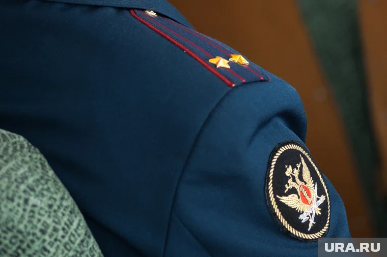 Новый руководитель погружается в дела