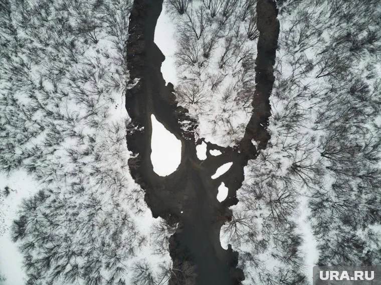 Украинец, чтобы спастись от мобилизации, зимой переплыл реку и пробрался в Румынию