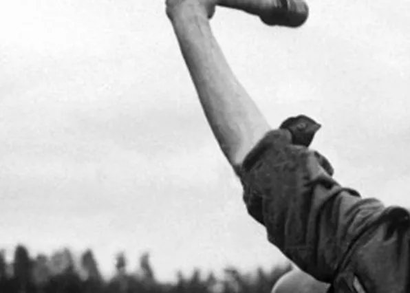 Фотография из галереи