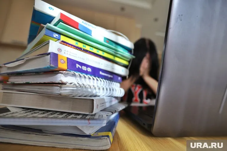 Елена Данилина заявила, что не будет «бегать по аудиториям» ради студентов, которые учатся онлайн