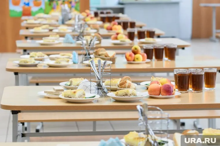 В нескольких школах уральской столицы можно купить обеды с помощью QR-кодов