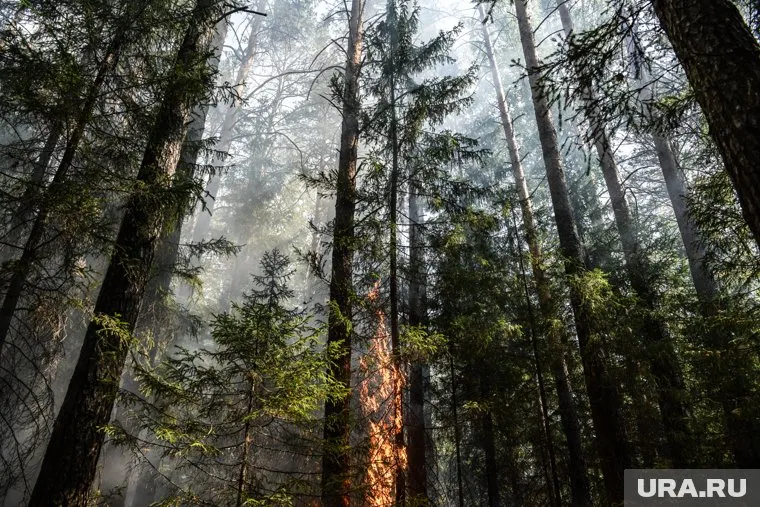 Режим действовал с апреля 2024 года