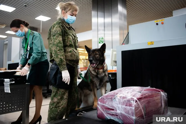 В аэропорту Сургута сожгли подкарантинные растения, которые пытались провезти незаконно