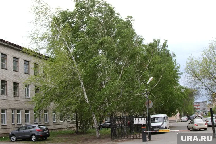 Ветер в Челябинской области усилится