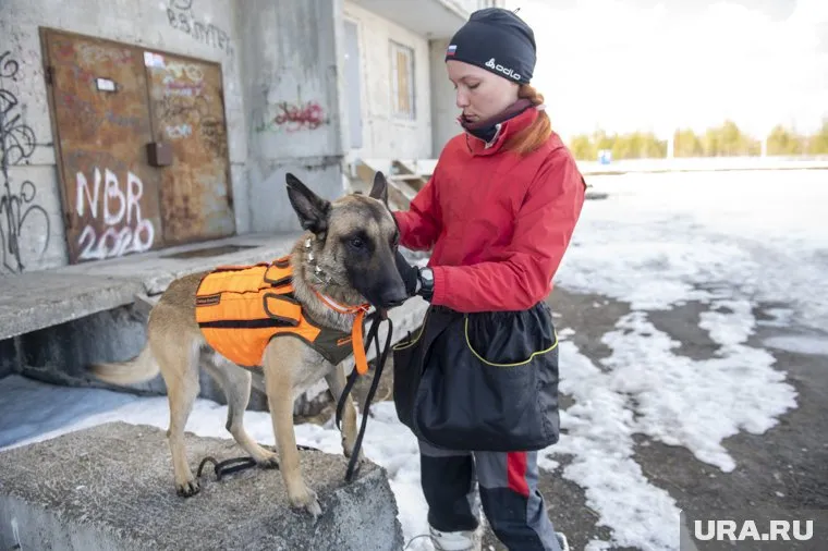 В Губкинском разыскивают Олега Коростелева, о местонахождении которого ничего не известно с 20 декабря 2022 года