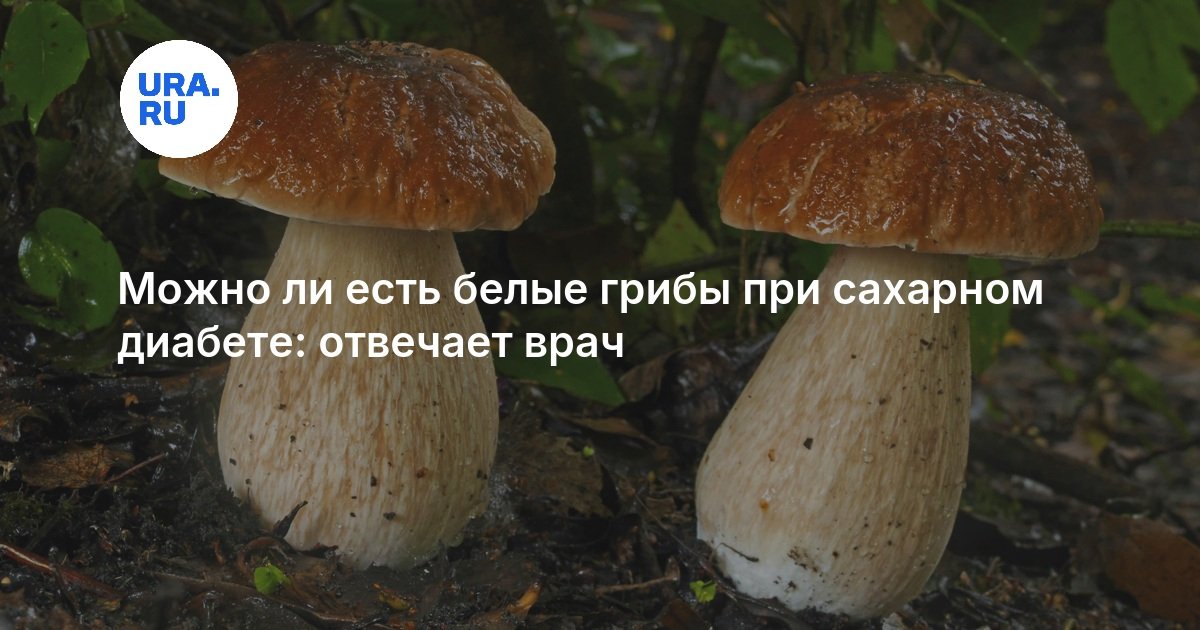 Можно ли есть белые грибы при сахарном диабете: отвечает врач