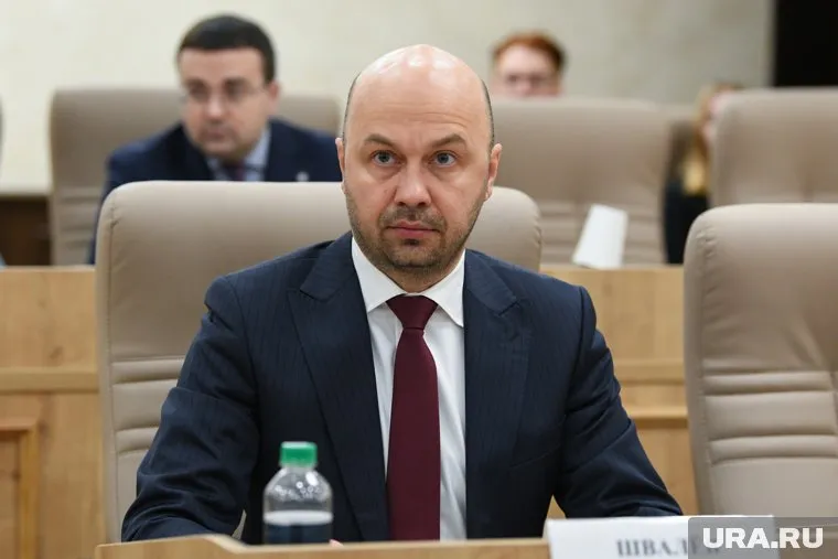 Антон Швалев уточнил, что если на инициативу не хватит денег, то вопрос рассмотрят в гордуме