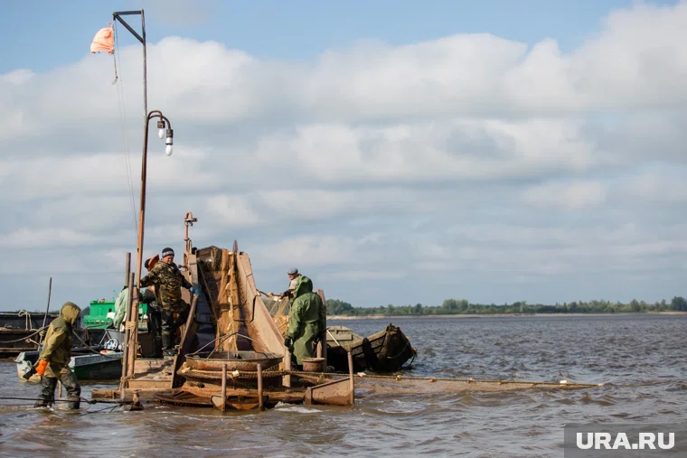 Рыбоводные хозяйства борются с хищением