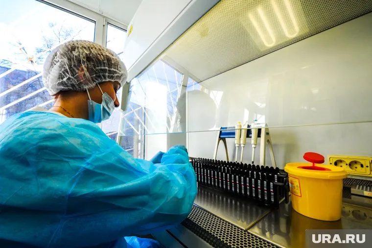 Организация медицины — одна из причин успехов России в борьбе с COVID-19