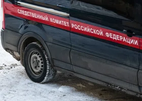 Фотография из галереи