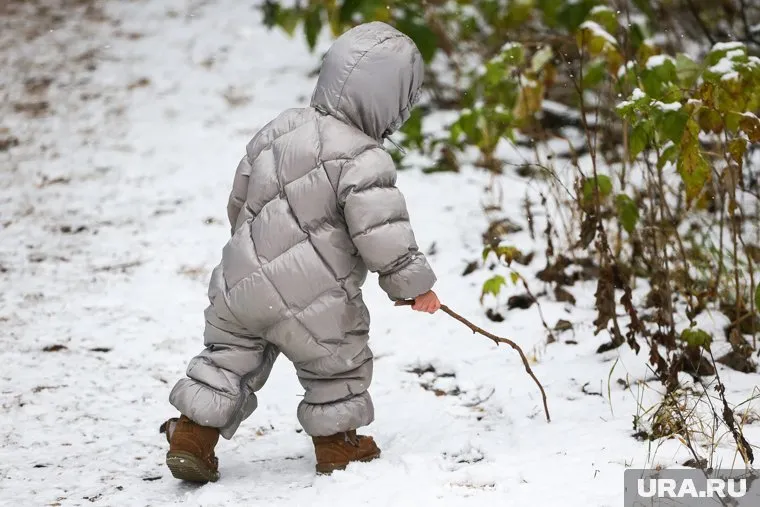 Собака мигрантов напала на ребенка и животное