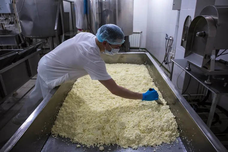 Экскурсия по частной сыроварне "Соболев Сыр". Екатеринбург