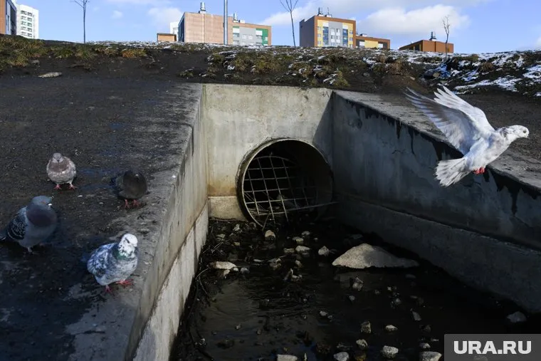 Церемония закладки здания администрации Академического района. Екатеринбург 