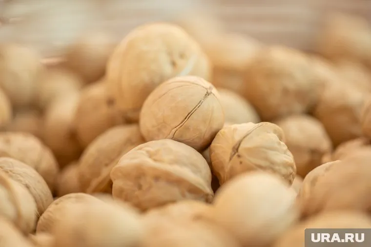 Чтобы разнообразить меню во время Великого поста, можно добавить в него орехи, заявили в Роскачестве