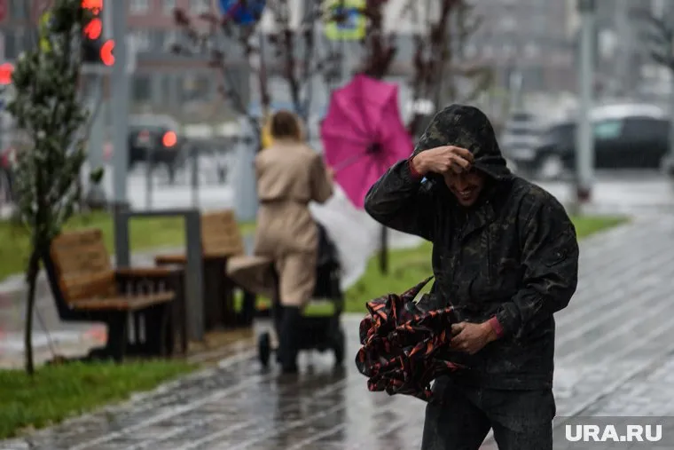 Тюменцев ждут гроза, штормовой ветер и, одновременно, жара
