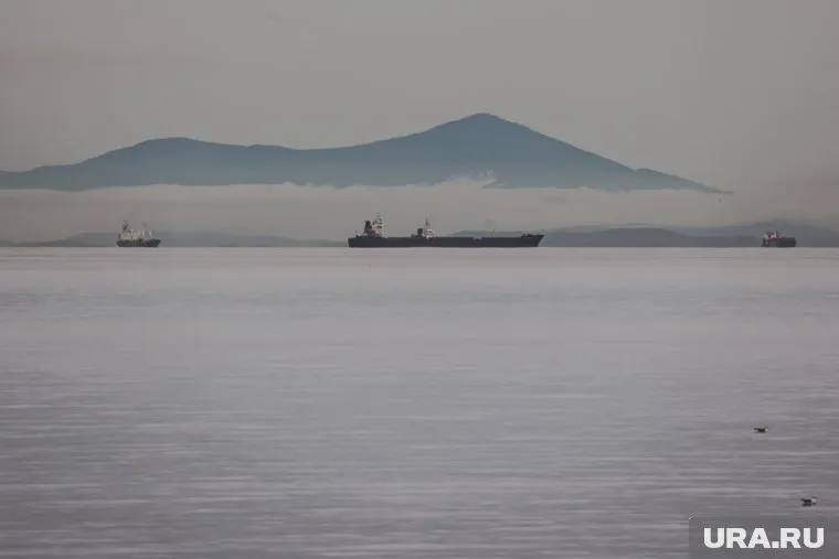 ВСУ будут контролировать морские коридоры в Черном море, заявил Дмитрий Плетенчук