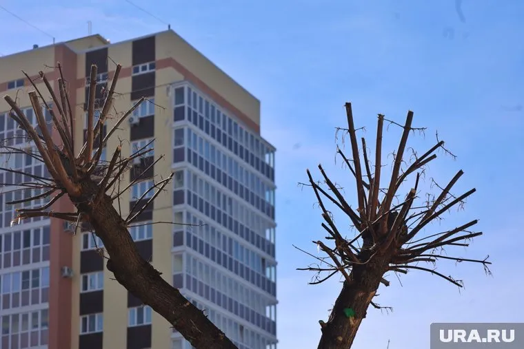 На данный момент минимальная стоимость комнат в городе составляет 360 тысяч рублей