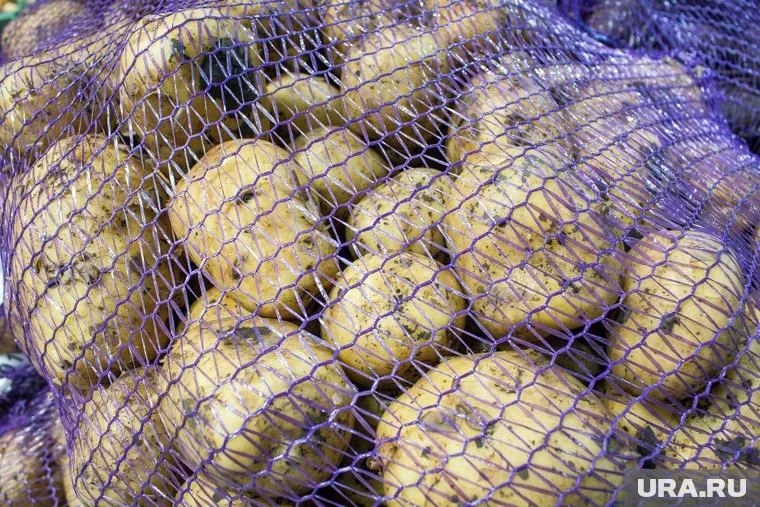 Фермер из Свердловской области обеспечит солдат с СВО обмундированием