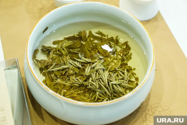 Зеленый чай не способен "сжечь" или заблокировать усвоение организмом жиров