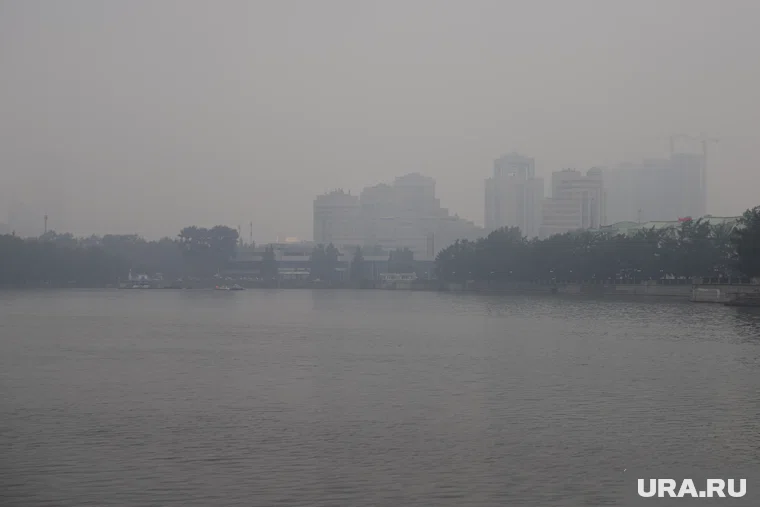 Из-за сильного запаха жители не могут открыть окна и погулять с детьми на улице