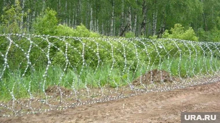 Проволку вокруг леса хотят заставить демонтировать