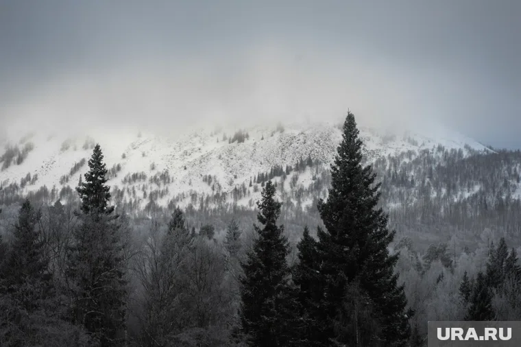 В тайге спасатели обнаружили ложные следы при поисках семьи