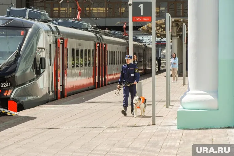 Чаще всего в июне ямальцы на поезде едут в Тюмень