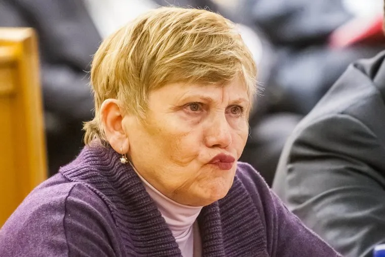 Комиссия по бюджету. Гордума. Ноябрь 2014. Тюмень, селезнева альбина