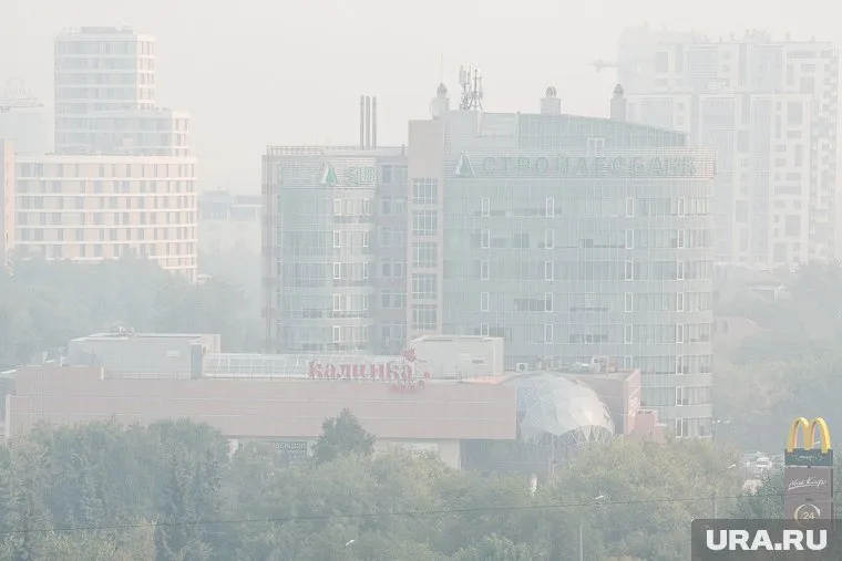 По словам представителей пожарных служб, смог появился из-за сжигания больных куриц