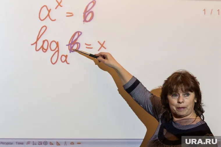 В ОНФ обратили внимание на высокую загрузку педагогического состава