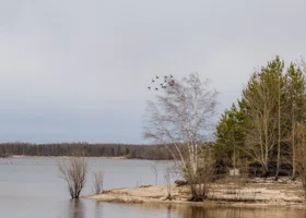 В Курганской области охотники должны сдать отчеты, даже если остались без добычи