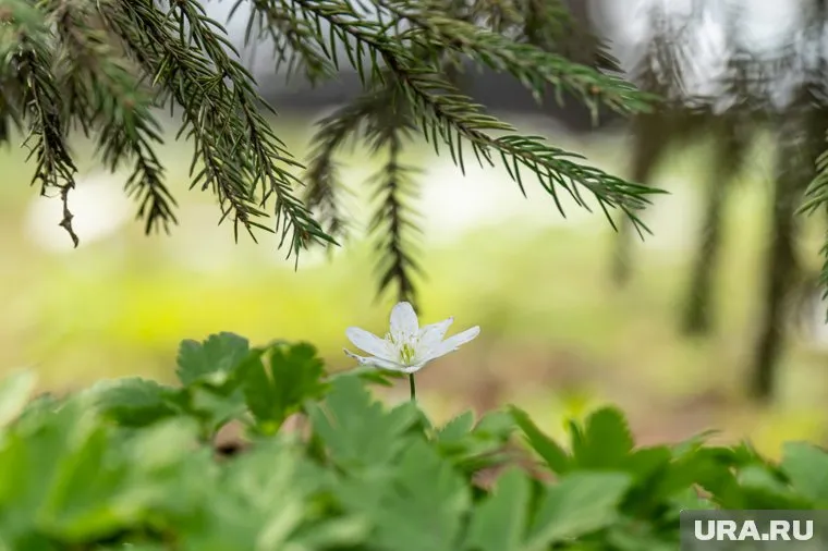 Сильных дождей и снегопадов, которые были ранее, не ожидается