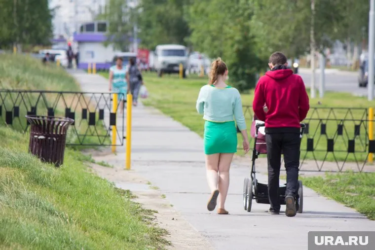 Отцам хотят дать право на обучение в декрете