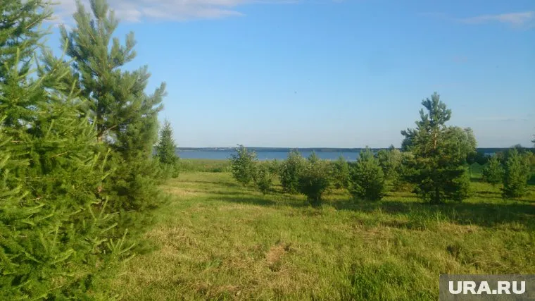 Земельный участок можно будет использовать для индивидуального жилищного строительства