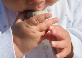 В Курганской области на четверть снизилось количество абортов