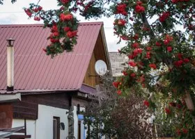 Успеть до холодов: что обязательно нужно сделать на дачном участке до зимы