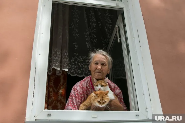 Пенсионный возраст не будут закреплять в Конституции РФ